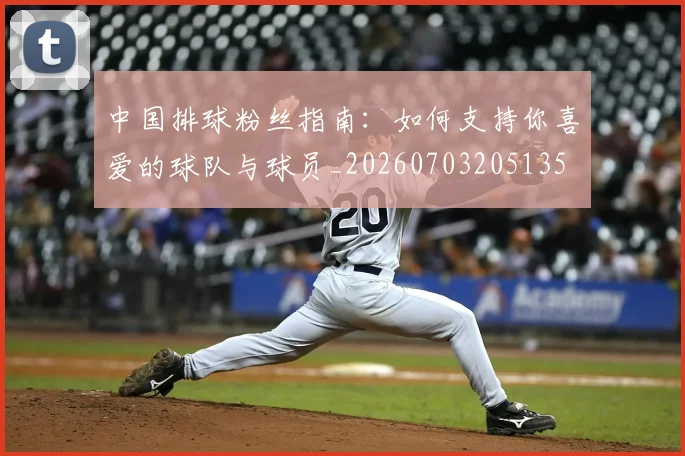 中国排球粉丝指南：如何支持你喜爱的球队与球员_20260703205135