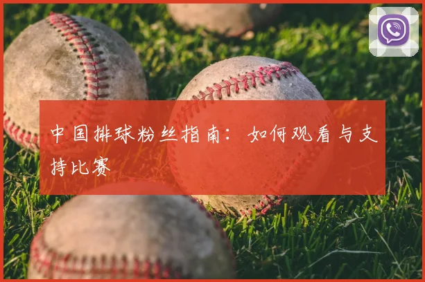 中国排球粉丝指南:如何观看与支持比赛