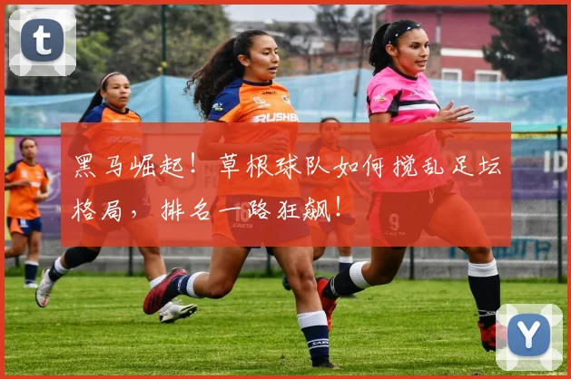 黑马崛起！草根球队如何搅乱足坛格局，排名一路狂飙！