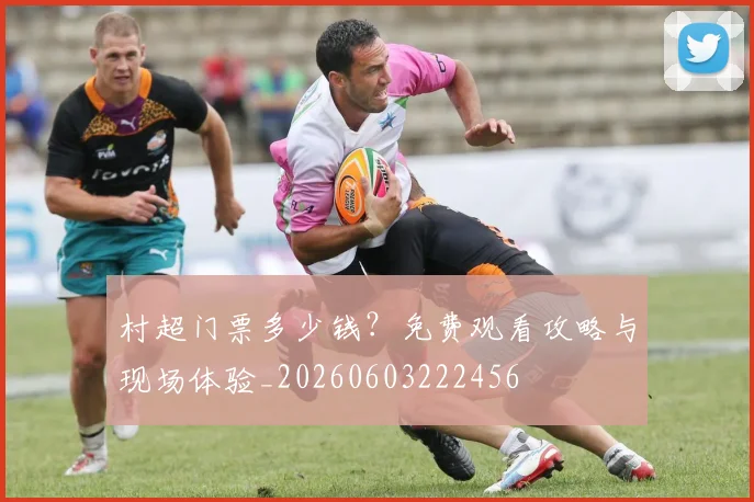 村超门票多少钱?免费观看攻略与现场体验_20260603222456