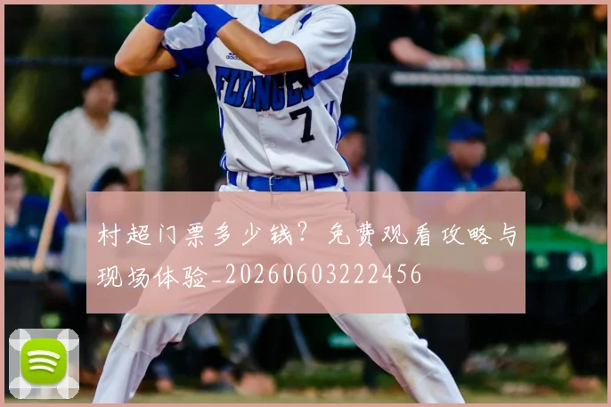 村超门票多少钱？免费观看攻略与现场体验_20260603222456