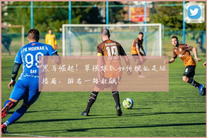 黑马崛起!草根球队如何搅乱足坛格局,排名一路狂飙!