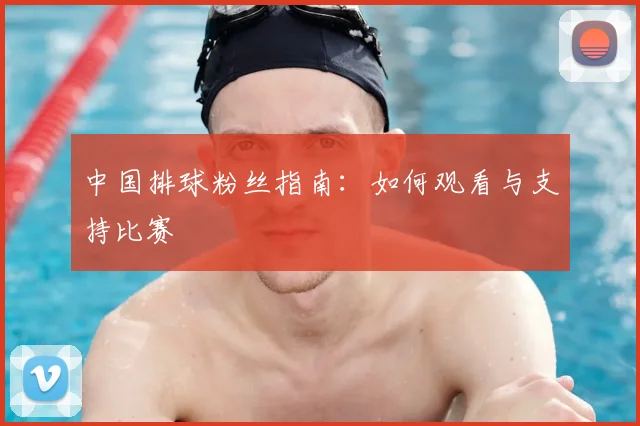 中国排球粉丝指南:如何观看与支持比赛